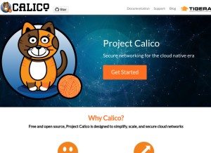 How projectcalico.org looks like on a tablet such as an iPad.