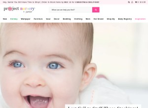 How projectnursery.com looks like on a tablet such as an iPad.