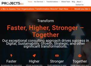 How projectsnco.com looks like on a tablet such as an iPad.