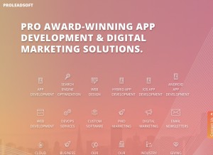 How proleadsoft.com looks like on a tablet such as an iPad.