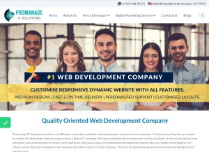 How promanageitsolution.com looks like on a tablet such as an iPad.