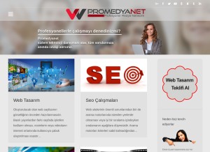 How promedyanet.com looks like on a tablet such as an iPad.