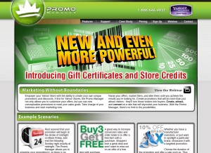 How promomanager.com looks like on a tablet such as an iPad.