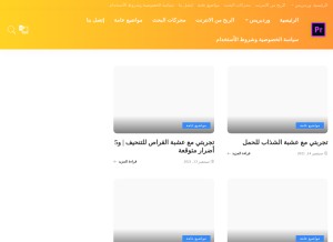 How prositey.com looks like on a tablet such as an iPad.