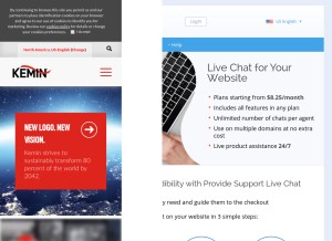 How providesupport.com looks like on a tablet such as an iPad.
