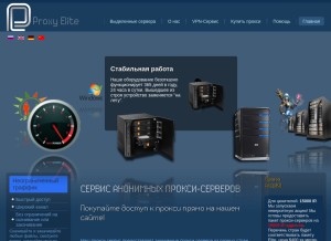 How proxyelite.ru looks like on a tablet such as an iPad.