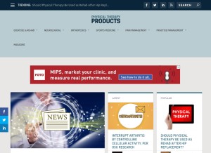 How ptproductsonline.com looks like on a tablet such as an iPad.
