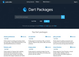 How pub.dev looks like on a tablet such as an iPad.