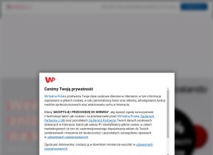How pudelek.pl looks like on a tablet such as an iPad.