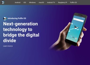 How puffin.com looks like on a tablet such as an iPad.