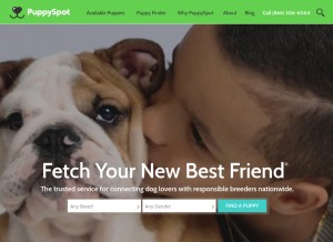 How puppyspot.com looks like on a tablet such as an iPad.