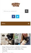 How puppytoob.com looks like on a mobile device such as an iPhone.
