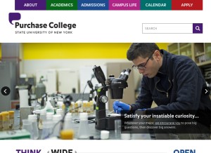 How purchase.edu looks like on a tablet such as an iPad.