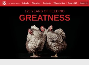 How purinamills.com looks like on a tablet such as an iPad.