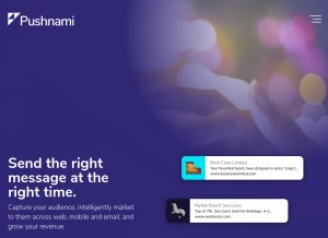 How pushnami.com looks like on a tablet such as an iPad.