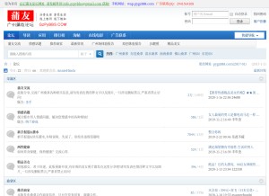 How pygz888.com looks like on a tablet such as an iPad.