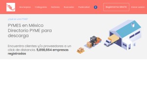 How pymes.org.mx looks like on a tablet such as an iPad.