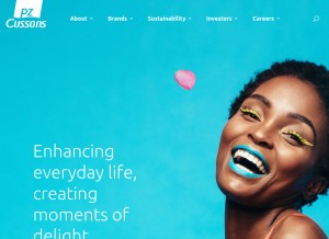 How pzcussons.com looks like on a tablet such as an iPad.