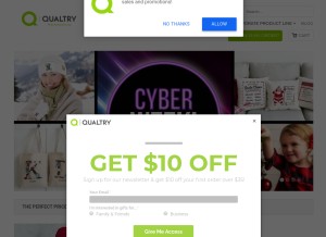 How qualtry.com looks like on a tablet such as an iPad.