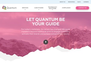 How quantumgroup.com looks like on a tablet such as an iPad.