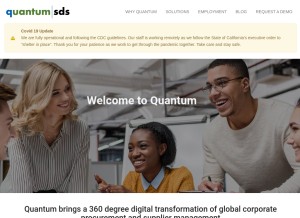 How quantumsds.com looks like on a tablet such as an iPad.