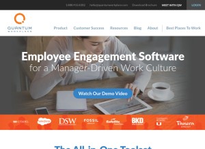 How quantumworkplace.com looks like on a tablet such as an iPad.