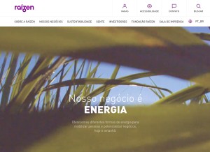 How raizen.com looks like on a tablet such as an iPad.