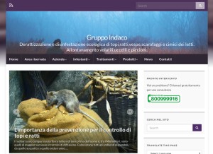 How raptus.it looks like on a tablet such as an iPad.