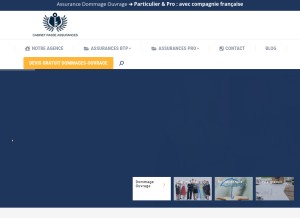 How rasse-assurances.fr looks like on a tablet such as an iPad.