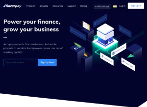 How razorpay.com looks like on a tablet such as an iPad.