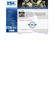How rbcbearings.com looks like on a mobile device such as an iPhone.
