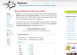 How rdpguard.com looks like on a tablet such as an iPad.