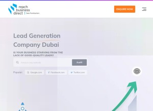 How reachbusinessdirect.com looks like on a tablet such as an iPad.