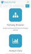 How reactome.org looks like on a mobile device such as an iPhone.