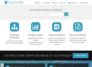 How reactome.org looks like on a tablet such as an iPad.