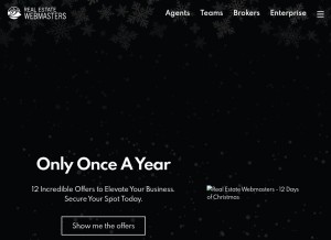 How realestatewebmasters.com looks like on a tablet such as an iPad.