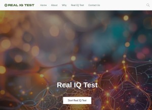 How realiqtest.company.site looks like on a tablet such as an iPad.