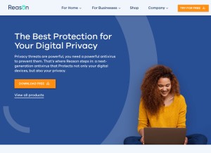 How reasonsecurity.com looks like on a tablet such as an iPad.