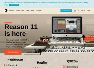 How reasonstudios.com looks like on a tablet such as an iPad.