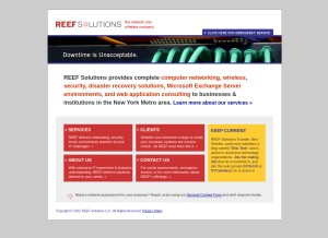 How reefit.com looks like on a tablet such as an iPad.