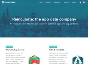 How reincubate.com looks like on a tablet such as an iPad.