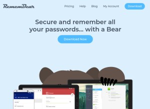 How remembear.com looks like on a tablet such as an iPad.