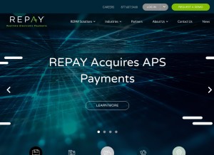 How repay.io looks like on a tablet such as an iPad.