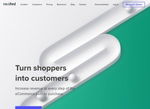 How riskified.com looks like on a tablet such as an iPad.
