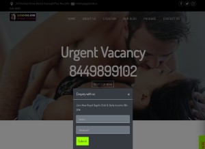 How royalgigoloclubs.in looks like on a tablet such as an iPad.