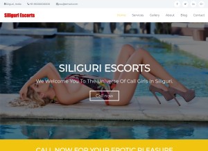 How rupshikarai.co.in looks like on a tablet such as an iPad.