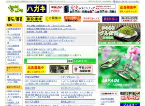 How s-ling.com looks like on a tablet such as an iPad.
