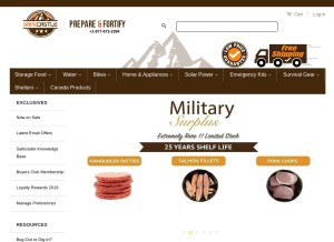 How safecastle.com looks like on a tablet such as an iPad.