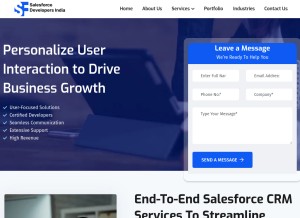 How salesforcedevelopersindia.com looks like on a tablet such as an iPad.