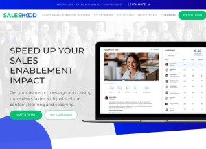 How saleshood.com looks like on a tablet such as an iPad.